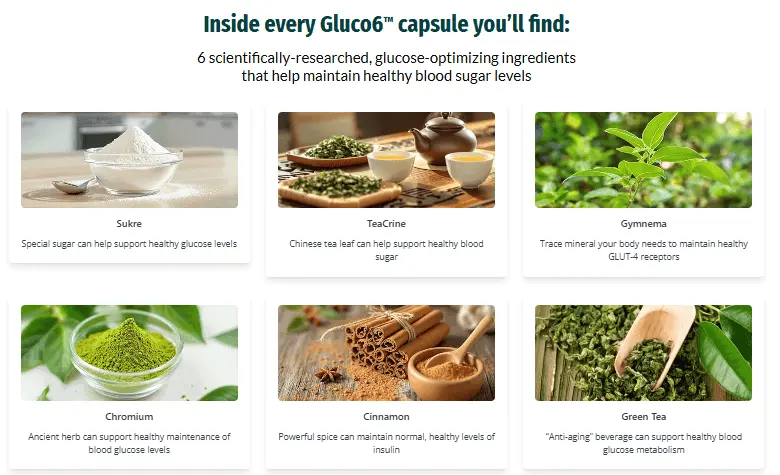 gluco6 ingredients